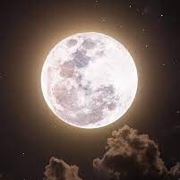 Sri Booma Devi Temple in Erode Purnima Pooja Days